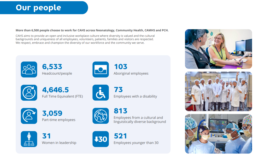 Breakdown of staff at CAHS, in numbers